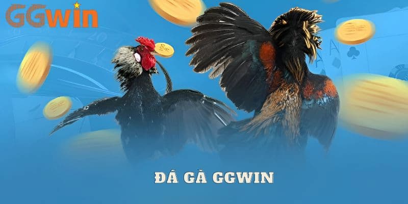 Giao diện tối ưu, dễ sử dụng