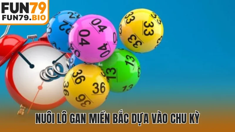 Nuôi lô gan miền Bắc dựa vào chu kỳ