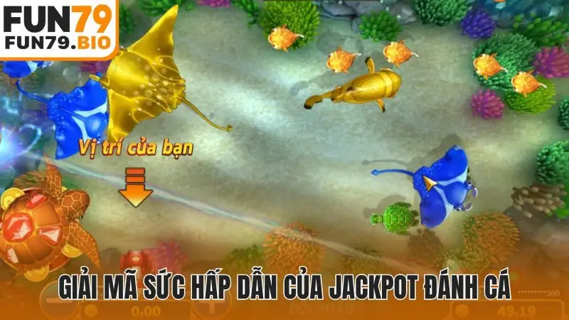 Giải mã sức hấp dẫn của jackpot đánh cá
